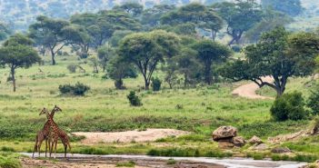 Les différentes destinations capverdiennes à visiter pendant une expédition en Afrique Vacances en Afrique