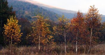 paysages de montagne