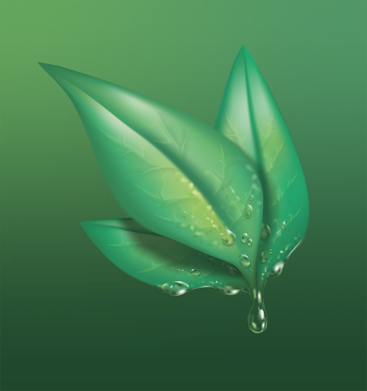 utilisation plantes bio pour la santé et bien être