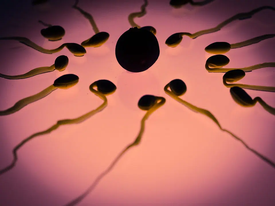 Fertilité masculine: 5 conseils pour la booster