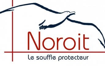 Noroit : faites la recherche en toute sérénité